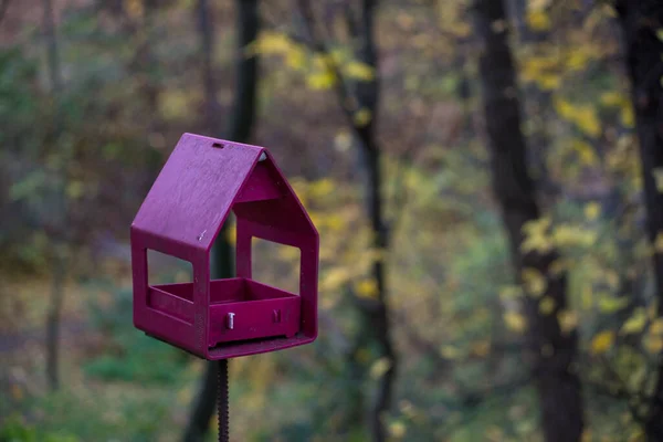 Alimentador Pássaros Alimentador Pássaros Uma Árvore Uma Floresta Outono — Fotografia de Stock