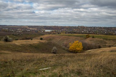 Sarı ağaçların panoramik manzarası, ahşap bir kulübe ve sonbahar bulutlu bir günde nehir..