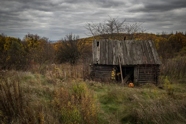 秋天多云的日子里 木屋和河流的全景 — 图库照片