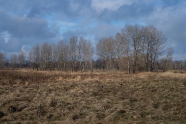 Şehirde ilkbahar. Kar erimiş, insanlar nehrin yanındaki parkta yürüyorlar. Atlar tarlada otluyor..