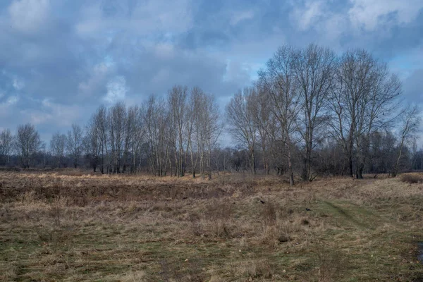 stock image Spring in the city. Snow melted, people walk in the park near the river. Horses grazing in the field.