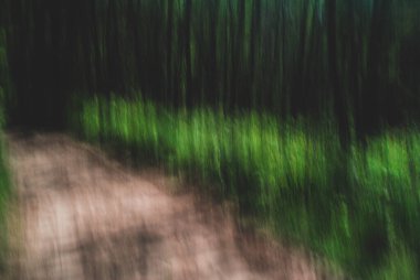 Ağaçlar yavaş kepenk kapatma hızıyla çekiliyor.