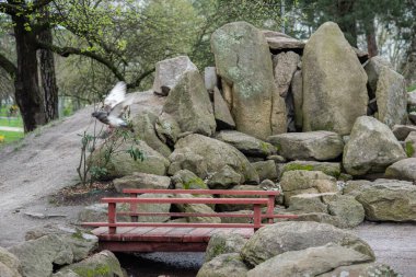 Kyoto Park, Kyiv 'de. Savaştan sonra siperler ve kirpiler şekillendi. Ve baharda sakura parkta çiçek açtı..