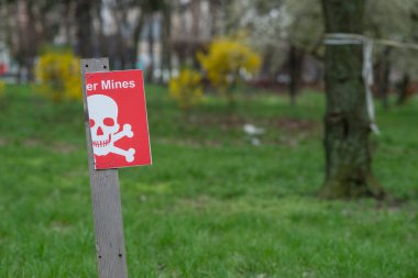 Kyoto Park, Kyiv 'de. Savaştan sonra siperler ve kirpiler şekillendi. Ve baharda sakura parkta çiçek açtı..
