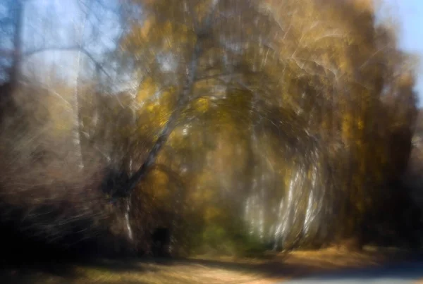 Obrázek Lesa Řeky Stromů Květin Pozadí Speciálním Objektivem Silným Vířícím — Stock fotografie