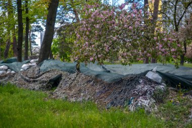 Kyiv, Kyiv bölgesi Ukrayna 05.05.2023: Şehrin savunma hattı kiraz ağaçları, tanksavar kestaneleri ve piyadeler için kazılan siperlerle dolu bir parktan geçiyor.