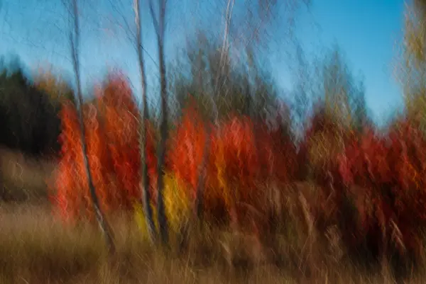 Drzewa Jesienią Podjęte Długim Czasie Migawki — Zdjęcie stockowe