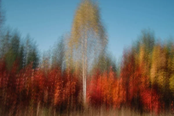 Bomen Herfst Genomen Met Lange Sluitertijd — Stockfoto