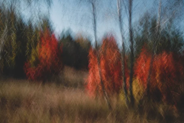 Árvores Outono Tomadas Longa Velocidade Obturador — Fotografia de Stock