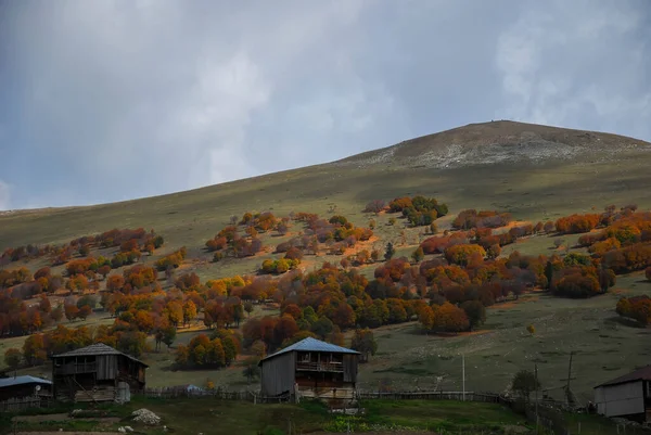 在风景如画的格鲁吉亚山脉中 矗立着一个有木制房屋的村庄 — 图库照片