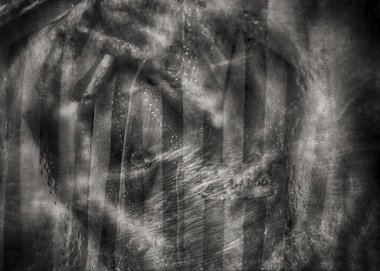 Auschwitz toplama kampındaki işkence görmüş mahkûmların hayaletleri. Toplama kampında yaşlı erkek, kadın ve çocukların siluetleri işkence gördü ve öldürüldü..