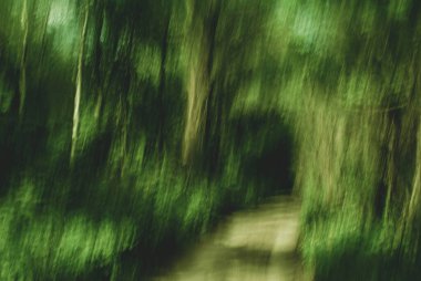 Koleksiyonumuzla baharın özünü yakalayın canlı yeşil ağaçların uzun pozlu çekimleri mevsimin tazeliğini ve yenilenmesini güzel bir şekilde sergiliyor..