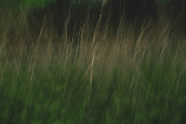 Koleksiyonumuzla baharın özünü yakalayın canlı yeşil ağaçların uzun pozlu çekimleri mevsimin tazeliğini ve yenilenmesini güzel bir şekilde sergiliyor..