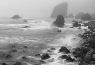 Monokrom 'da Uyum: Rocky Shore' da Dalgalar