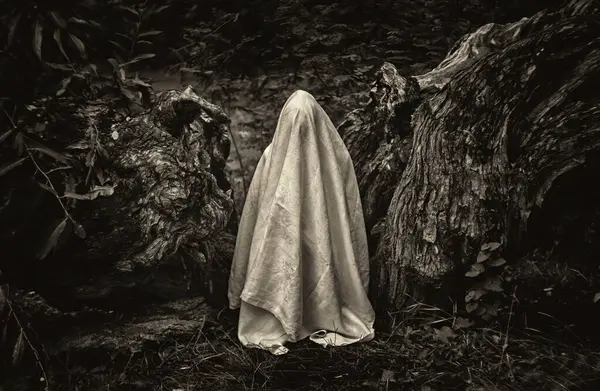 A monochromatic image of a person draped in a white blanket against a backdrop of nature.