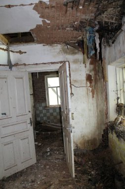 Chornobyl nükleer santral felaketinden 37 yıl sonra zamanda donan Pripyat şehrinin unutulmaz bir görüntüsü. Doğa tarafından geri kazanılmış ıssız sokaklar, bir zamanlar hayat dolu ve şimdi sessizlik içinde gizlenmiş bir topluluğun kutsal hikayesini fısıldıyor.. 