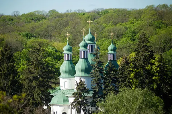 Spring Park: Tepedeki Mantar, Fern ve Kilise