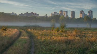 Yumuşak bir yaz sabahı sisi, ağustosun sonunda şehrin yakınındaki tarlaları kaplıyor, altın otların arasında zikzak çiziyor ve yeni bir günün vaadini fısıldıyor..