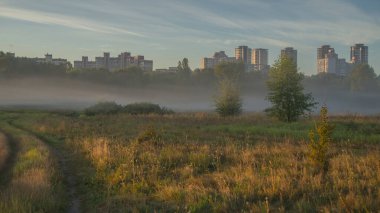Yumuşak bir yaz sabahı sisi, ağustosun sonunda şehrin yakınındaki tarlaları kaplıyor, altın otların arasında zikzak çiziyor ve yeni bir günün vaadini fısıldıyor..