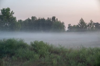 A soft summer morning mist drapes the fields near the city at the end of August, weaving through the golden grasses and whispering the promise of a new day clipart