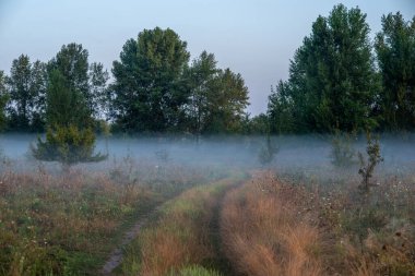 Yumuşak bir yaz sabahı sisi, ağustosun sonunda şehrin yakınındaki tarlaları kaplıyor, altın otların arasında zikzak çiziyor ve yeni bir günün vaadini fısıldıyor.