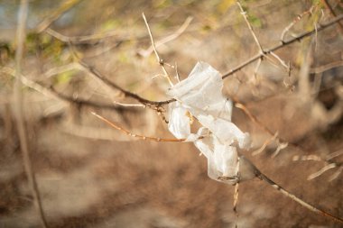Gelgit çekildikten sonra kıyı şeridi ağaç kütüklerine saçılmış şişe, kutu ve kabukları ortaya çıkardı..