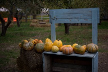 Sonbaharda, yaprakların altın, kırmızı ve turuncu renge dönüşmesi ve zemini ılık renklerle kaplaması ile park nefes kesici bir manzaraya dönüşür..