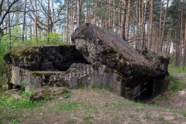 Ormandaki askeri sığınak.