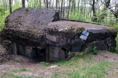 Ormandaki askeri sığınak.