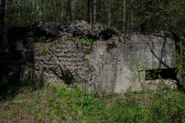 Ormandaki askeri sığınak.