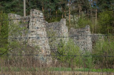 Ormandaki askeri sığınak.