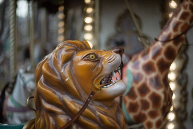 Kuşlar parktaki ağaçlardan sarkıyor..