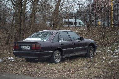 Doğada insanların bıraktığı çöp: plastik şişeler, poşetler, ambalajlar ve araba parçaları.