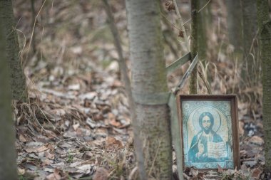Doğada insanların bıraktığı çöp: plastik şişeler, poşetler, ambalajlar ve araba parçaları.