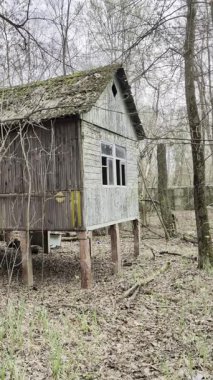 Bahar ormanının ortasında unutulmuş ahşap evler..