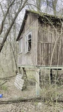 Bahar ormanının ortasında unutulmuş ahşap evler..