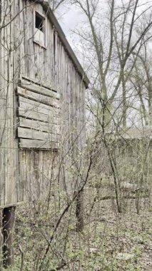 Bahar ormanının ortasında unutulmuş ahşap evler..