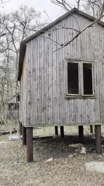 Bahar ormanının ortasında unutulmuş ahşap evler..