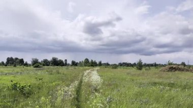 Büyük çayır çiçekleri açıyor ve gökyüzünde bulutlar..