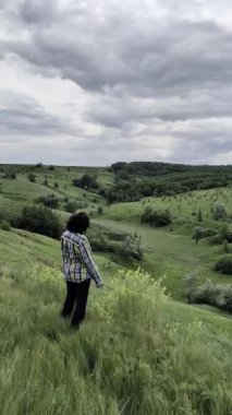 Çayırlık çiçekli yaz tarlası, bulutlu gökyüzü.. 