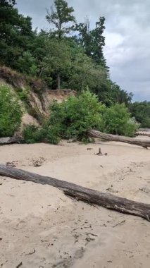 Bulutlu gökyüzünün altındaki su deposunun yanındaki orman sahili.