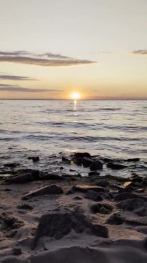 Bulutlu gökyüzünün altındaki su deposunun yanındaki orman sahili.