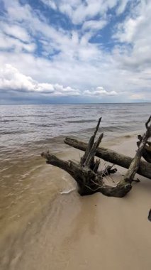 Bulutlu gökyüzünün altındaki su deposunun yanındaki orman sahili.