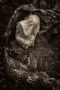 Kadın ağaç kökleri arasında cenin pozisyonunda, doğa ve yeniden doğuşu sembolize ediyor..