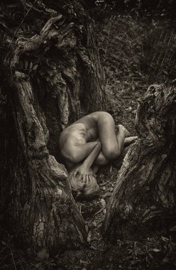 Kadın ağaç kökleri arasında cenin pozisyonunda, doğa ve yeniden doğuşu sembolize ediyor..