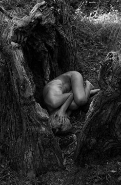 Kadın ağaç kökleri arasında cenin pozisyonunda, doğa ve yeniden doğuşu sembolize ediyor..