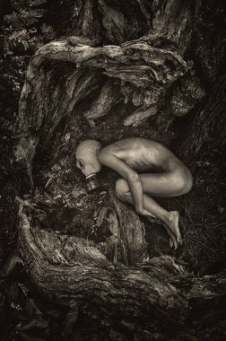Kadın ağaç kökleri arasında cenin pozisyonunda, doğa ve yeniden doğuşu sembolize ediyor..