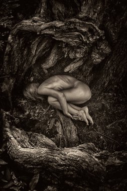 Kadın ağaç kökleri arasında cenin pozisyonunda, doğa ve yeniden doğuşu sembolize ediyor..