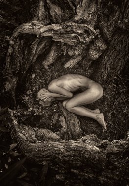 Kadın ağaç kökleri arasında cenin pozisyonunda, doğa ve yeniden doğuşu sembolize ediyor..