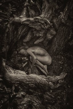 Kadın ağaç kökleri arasında cenin pozisyonunda, doğa ve yeniden doğuşu sembolize ediyor..